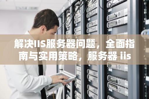 解决IIS服务器问题，全面指南与实用策略，服务器 iis