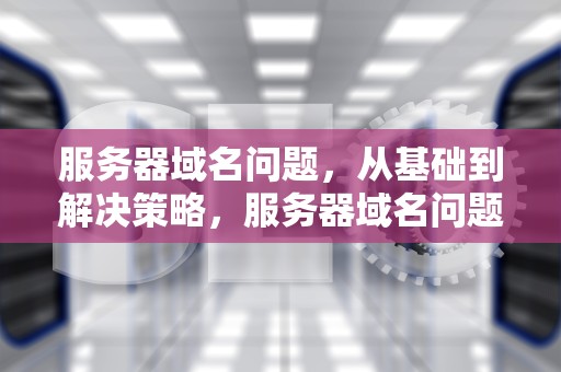 服务器域名问题，从基础到解决策略，服务器域名问题怎么解决