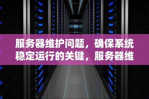 服务器维护问题，确保系统稳定运行的关键，服务器维护问题有哪些