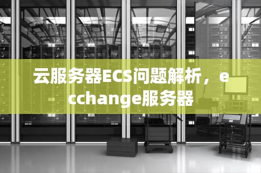 云服务器ECS问题解析，ecchange服务器