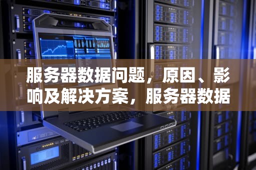 服务器数据问题，原因、影响及解决方案，服务器数据问题怎么解决