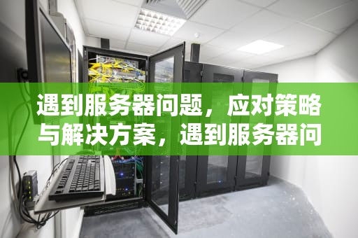 遇到服务器问题，应对策略与解决方案，遇到服务器问题怎么解决