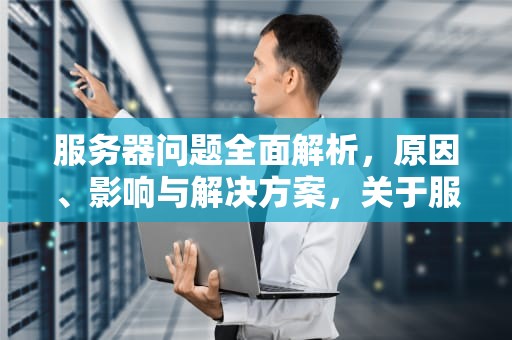 服务器问题全面解析，原因、影响与解决方案，关于服务器问题哪个区域稳定些?