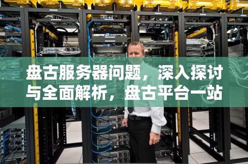 盘古服务器问题，深入探讨与全面解析，盘古平台一站式