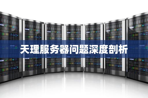 天理服务器问题深度剖析