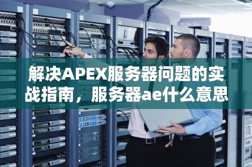 解决APEX服务器问题的实战指南，服务器ae什么意思