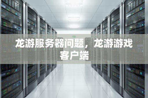 龙游服务器问题，龙游游戏客户端
