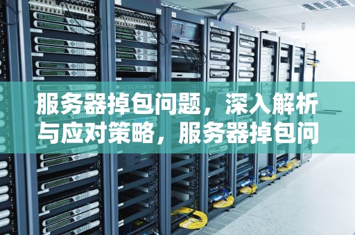 服务器掉包问题，深入解析与应对策略，服务器掉包问题怎么解决