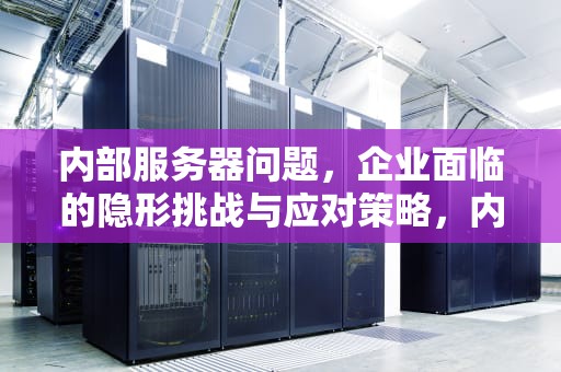 内部服务器问题，企业面临的隐形挑战与应对策略，内部服务器问题500
