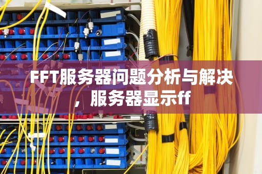 FFT服务器问题分析与解决，服务器显示ff