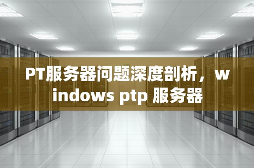 PT服务器问题深度剖析，windows ptp 服务器