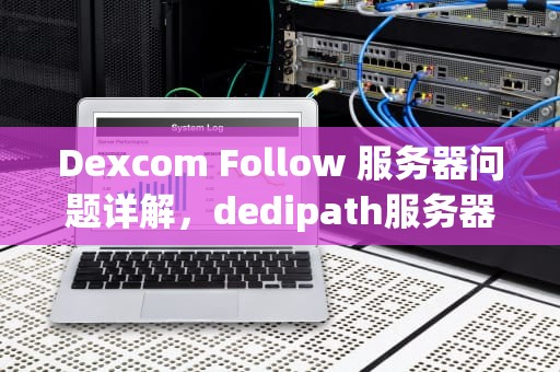 Dexcom Follow 服务器问题详解，dedipath服务器