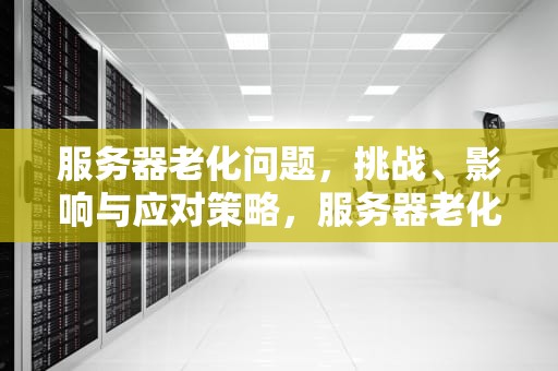 服务器老化问题，挑战、影响与应对策略，服务器老化问题怎么解决