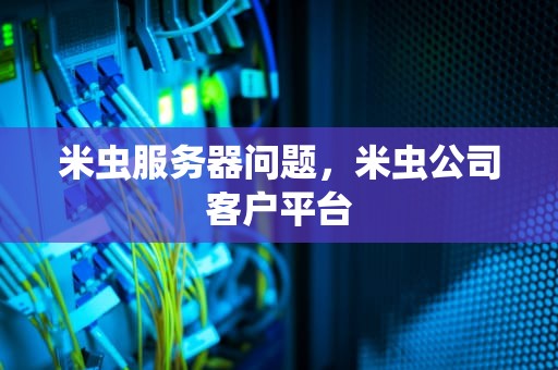 米虫服务器问题，米虫公司客户平台