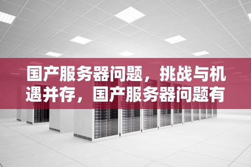 国产服务器问题，挑战与机遇并存，国产服务器问题有哪些