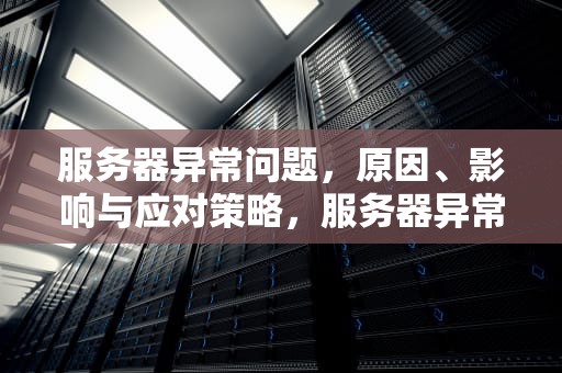 服务器异常问题，原因、影响与应对策略，服务器异常问题及解决
