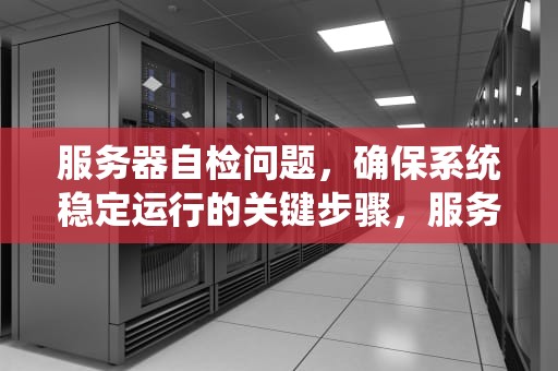 服务器自检问题，确保系统稳定运行的关键步骤，服务器自检问题怎么解决