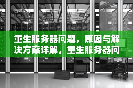 重生服务器问题，原因与解决方案详解，重生服务器问题怎么解决