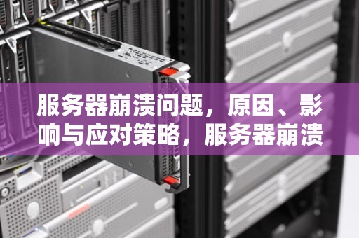 服务器崩溃问题，原因、影响与应对策略，服务器崩溃问题怎么解决
