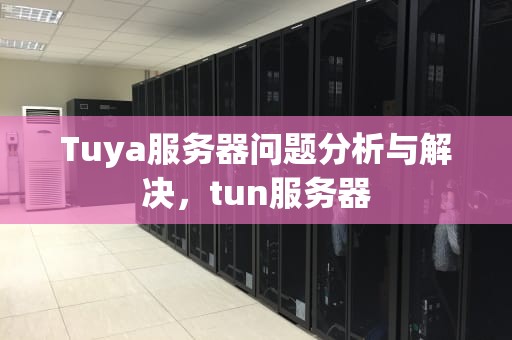 Tuya服务器问题分析与解决，tun服务器
