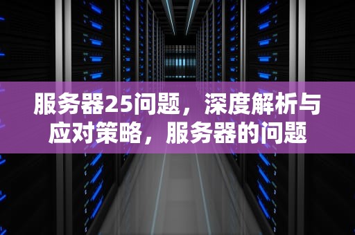 服务器25问题，深度解析与应对策略，服务器的问题