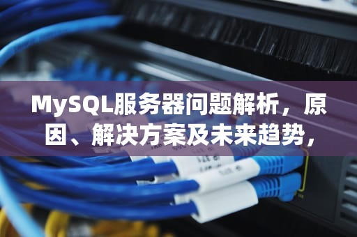 MySQL服务器问题解析，原因、解决方案及未来趋势，mysql的服务器