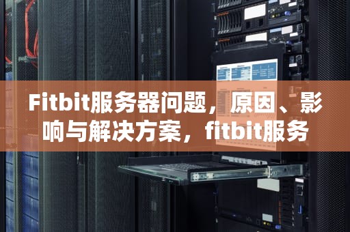 Fitbit服务器问题，原因、影响与解决方案，fitbit服务器连不上
