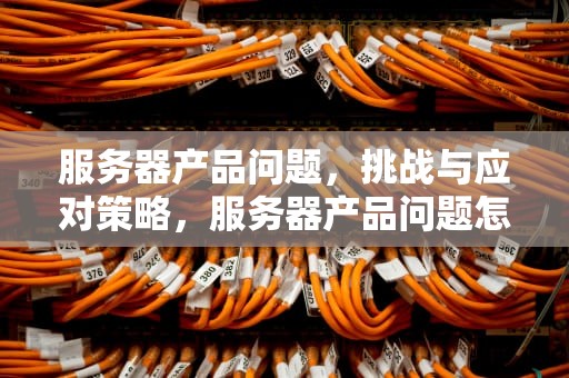 服务器产品问题，挑战与应对策略，服务器产品问题怎么解决