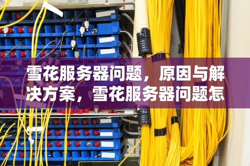 雪花服务器问题，原因与解决方案，雪花服务器问题怎么解决