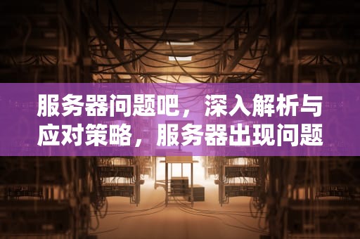 服务器问题吧，深入解析与应对策略，服务器出现问题