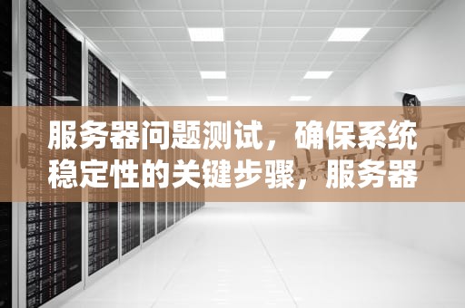服务器问题测试，确保系统稳定性的关键步骤，服务器问题测试方法