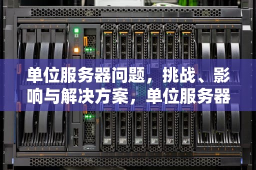 单位服务器问题，挑战、影响与解决方案，单位服务器问题怎么解决