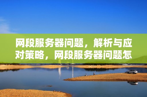 网段服务器问题，解析与应对策略，网段服务器问题怎么解决