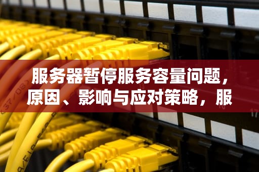 服务器暂停服务容量问题，原因、影响与应对策略，服务器暂停服务容量问题怎么解决