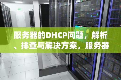 服务器的DHCP问题，解析、排查与解决方案，服务器 dhcp