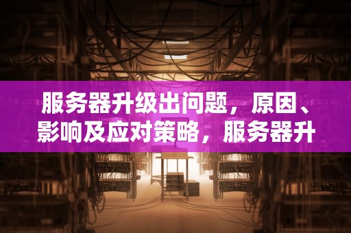 服务器升级出问题，原因、影响及应对策略，服务器升级出问题怎么办