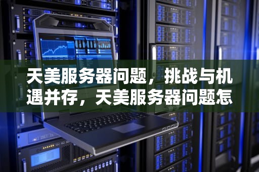 天美服务器问题，挑战与机遇并存，天美服务器问题怎么解决