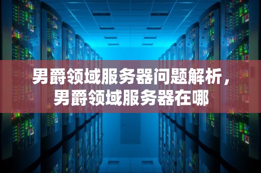 男爵领域服务器问题解析，男爵领域服务器在哪