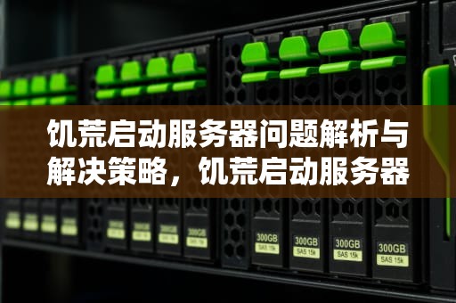 饥荒启动服务器问题解析与解决策略，饥荒启动服务器问题是什么原因