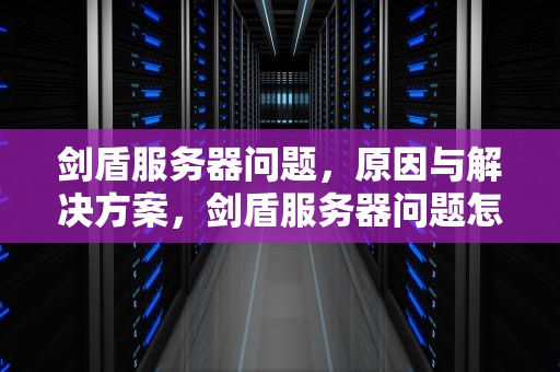 剑盾服务器问题，原因与解决方案，剑盾服务器问题怎么解决