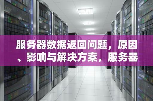 服务器数据返回问题，原因、影响与解决方案，服务器数据返回问题怎么解决