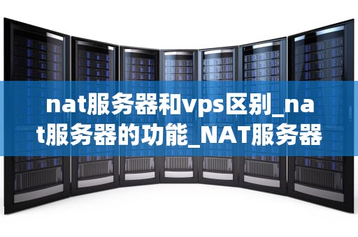 nat服务器和vps区别_nat服务器的功能_NAT服务器与VPS：深入比较和理解