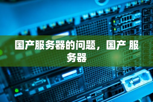 国产服务器的问题，国产 服务器