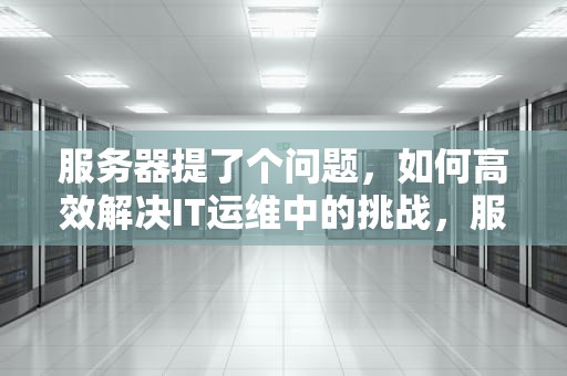 服务器提了个问题，如何高效解决IT运维中的挑战，服务器提了个问题怎么办