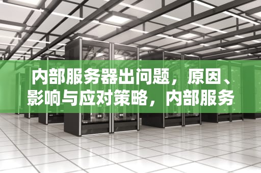内部服务器出问题，原因、影响与应对策略，内部服务器出问题怎么解决