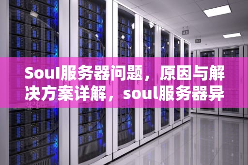 SouI服务器问题，原因与解决方案详解，soul服务器异常