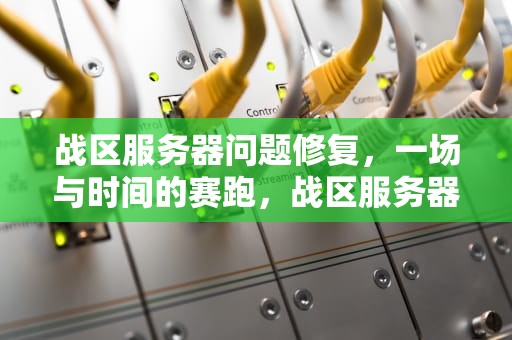 战区服务器问题修复，一场与时间的赛跑，战区服务器维护