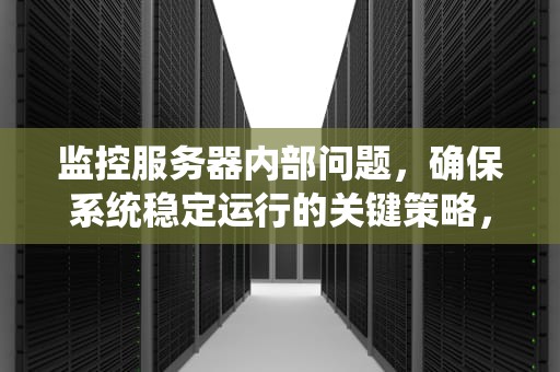 监控服务器内部问题，确保系统稳定运行的关键策略，监控服务器内部问题有哪些