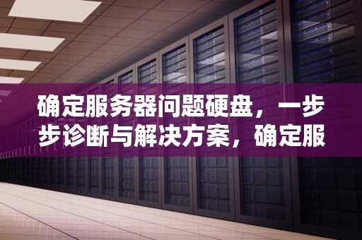 确定服务器问题硬盘，一步步诊断与解决方案，确定服务器问题硬盘错误