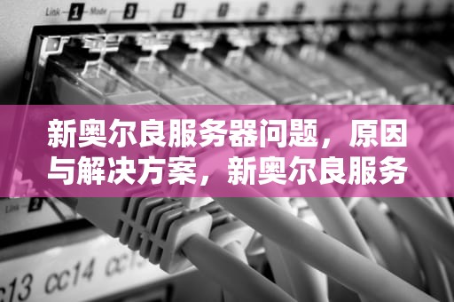 新奥尔良服务器问题，原因与解决方案，新奥尔良服务器问题怎么解决